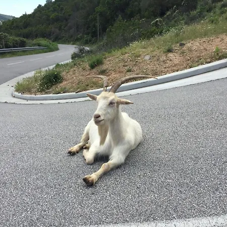 Sandrine - Terrace Pool - By Tgb ヴィラ