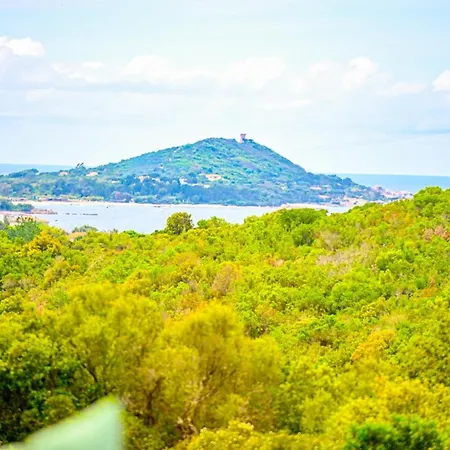 Sandrine - Terrace Pool - By Tgb ヴィラ Pietrosella