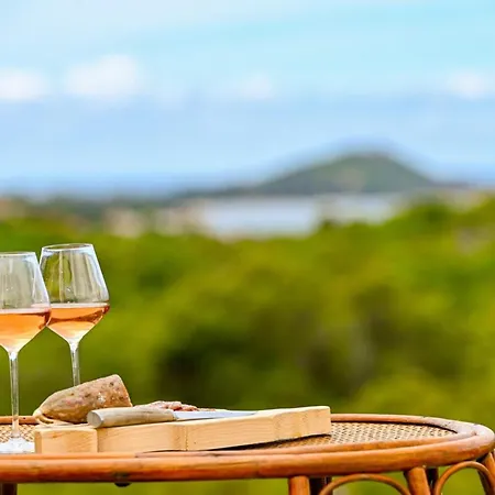 Sandrine - Terrace Pool - By Tgb Villa