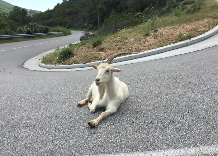 Sandrine - Terrace Pool - By Tgb Villa